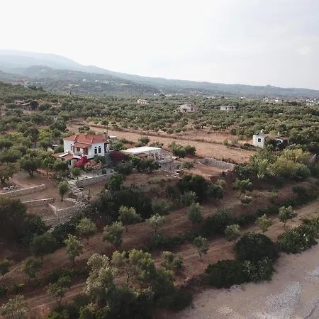 Blue Fox 2 克拉尼