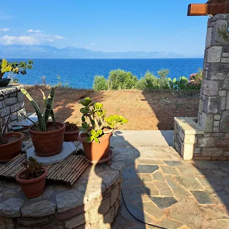 Blue Fox 2 * 克拉尼