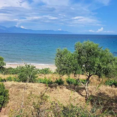 Blue Fox 2 克拉尼